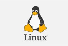 如何创建Linux交换文件？Linux交换文件最新创建方法 - 搬瓦工中文网